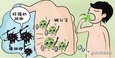 有乙肝每天补多少硒