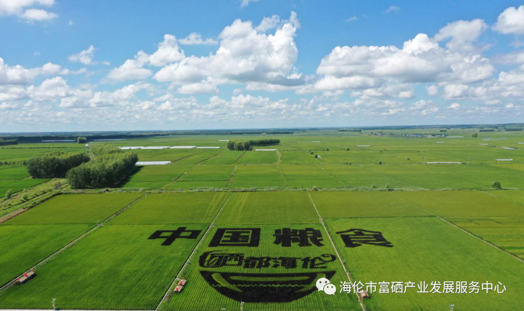 全民科学补硒日发起