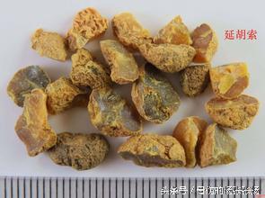 壮骨补钙胶囊