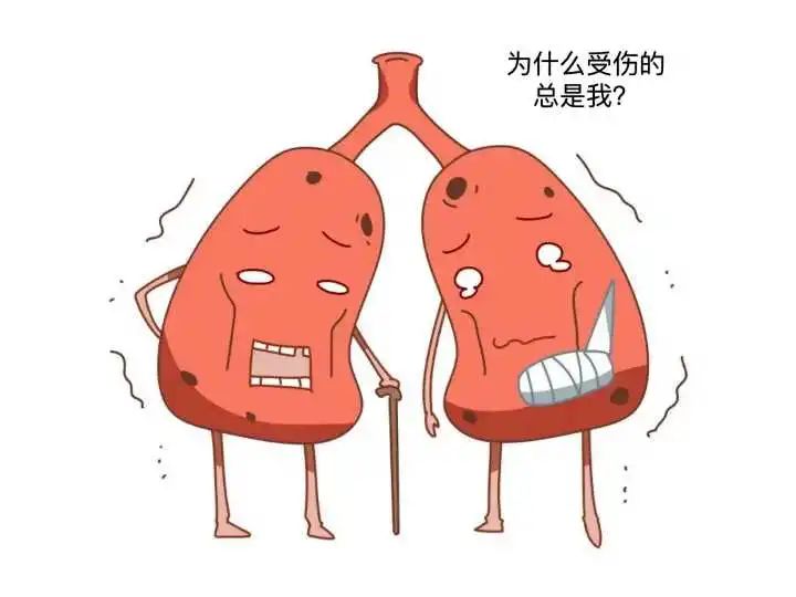 壮骨补钙胶囊