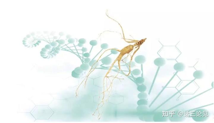 人体补硒买什么牌子