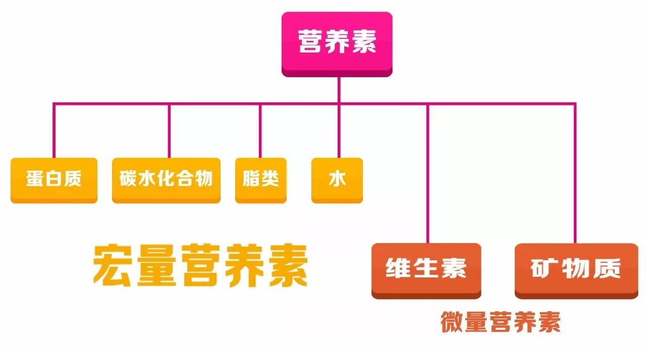 维生素ad可以补钙吗