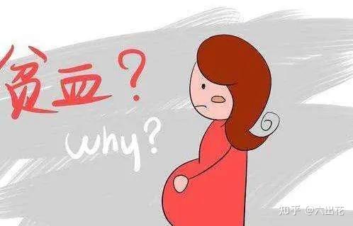 孕妇补铁必吃食物