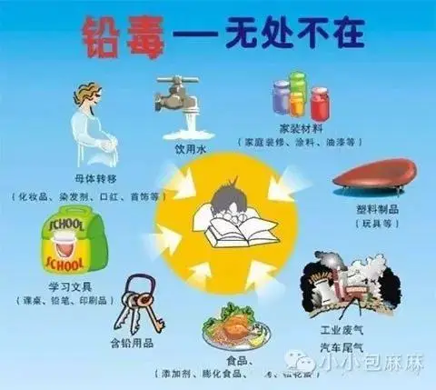 补铁最好的食物