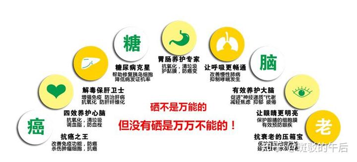 肝病补硒酵母的作用