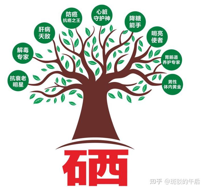 肝病补硒酵母的作用