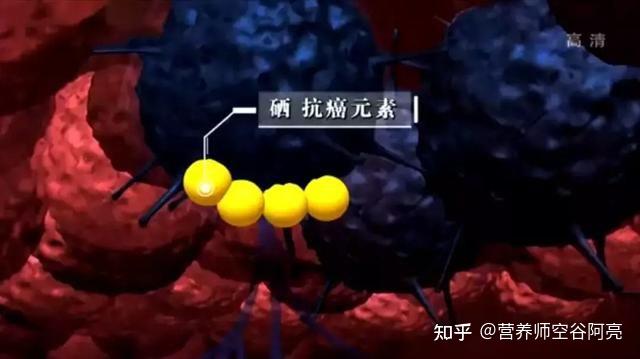 乙肝补硒可以喝酒吗