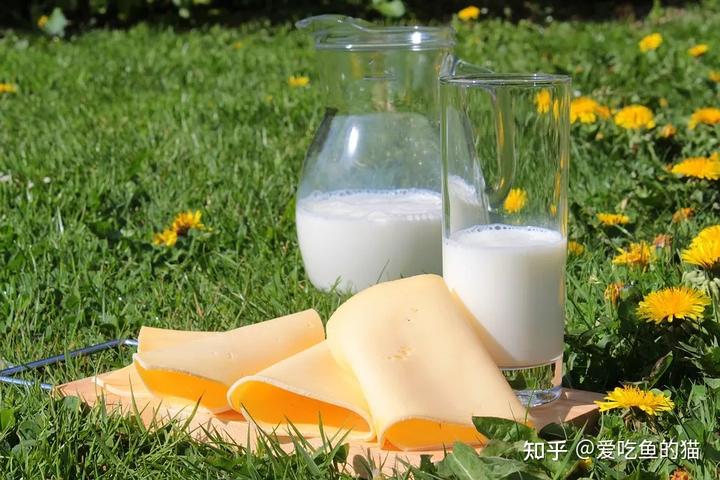 补钙量