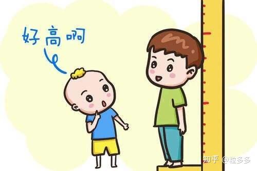 补锌能长高吗