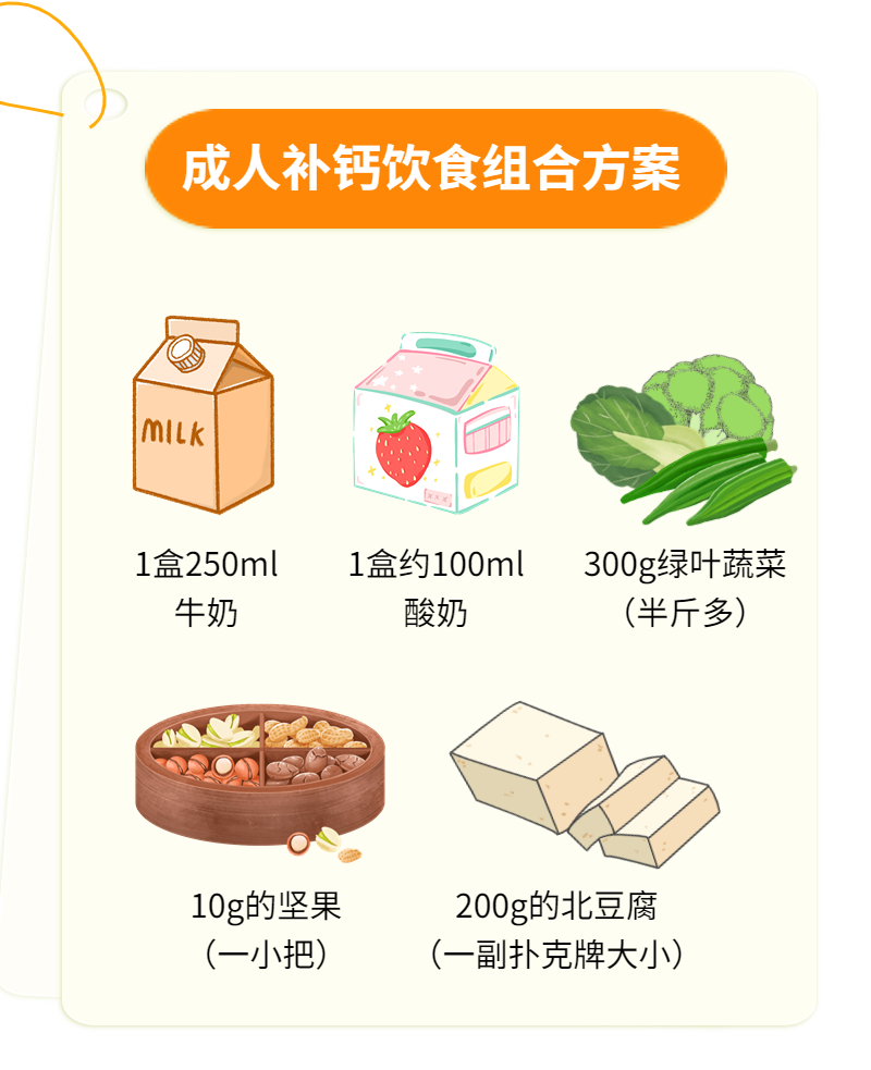 可以补钙的食物
