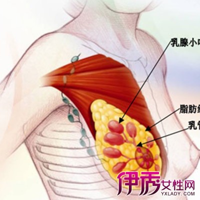 乳腺结节术后能补硒
