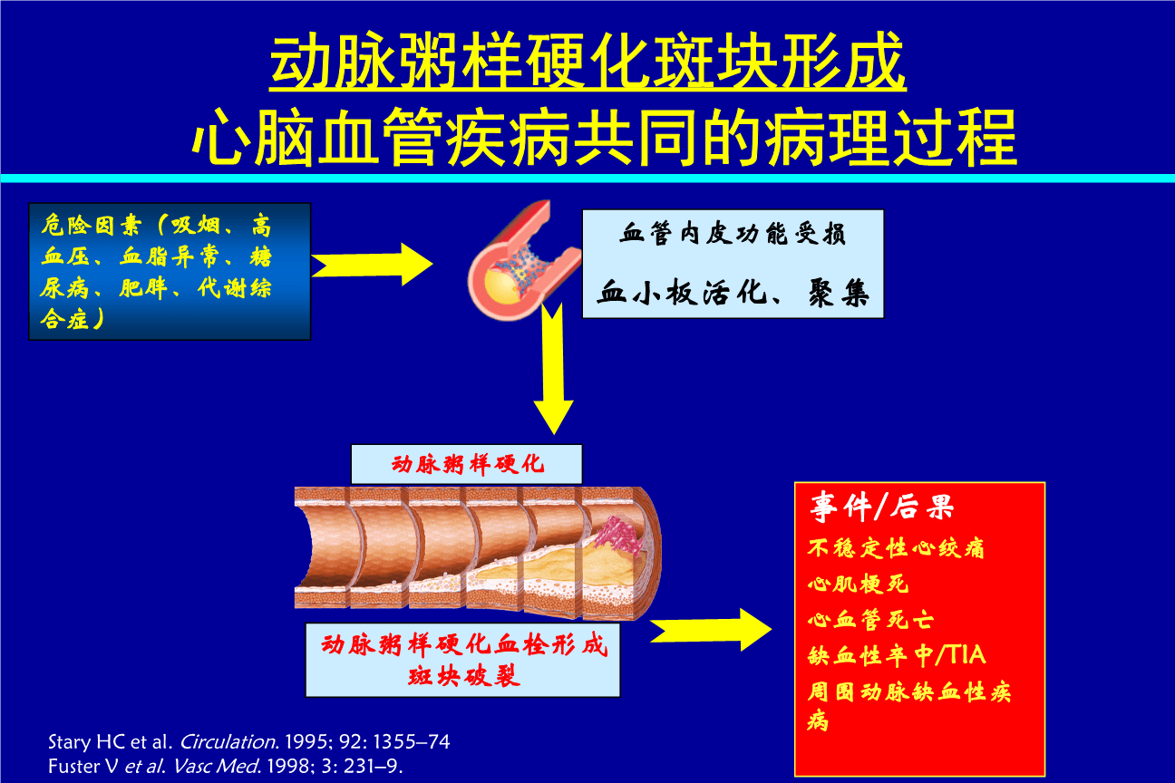 补硒会引起血压升高