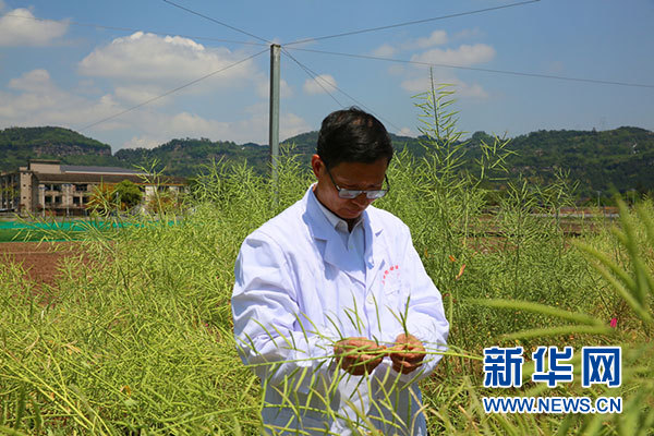 合格补硒产品有哪些