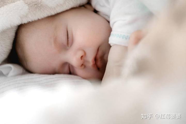 鱼补铁吗