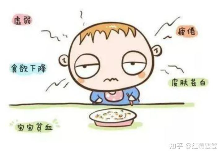 鱼补铁吗