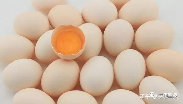 蛋壳能补钙吗