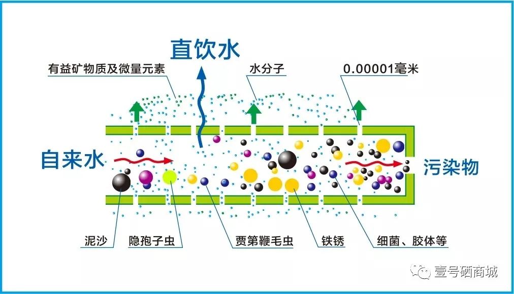 全民补硒中国健康行