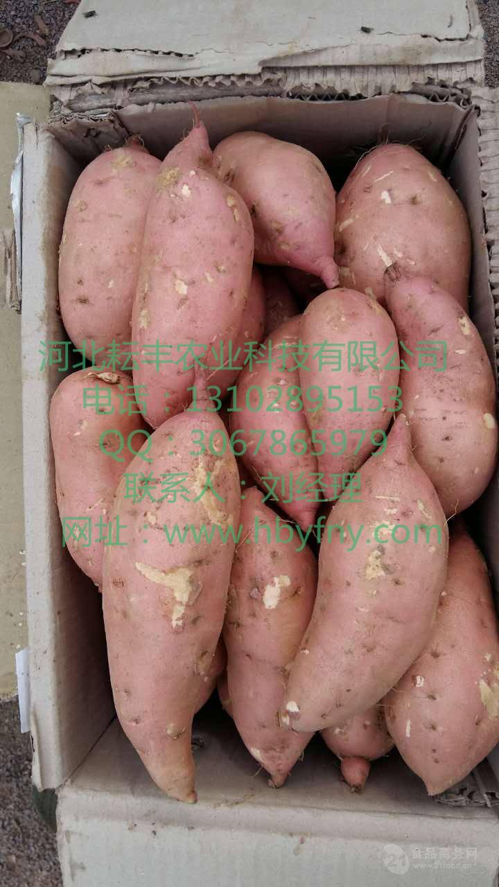 对于科学补硒的感受