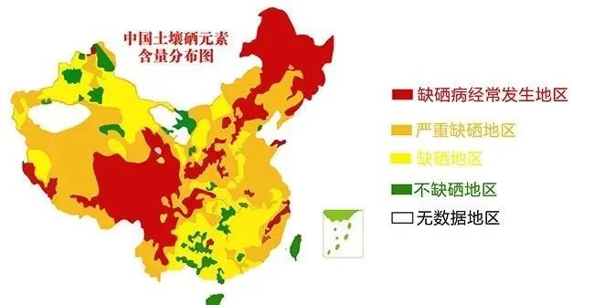 怎样为动物补硒最好