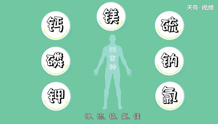 微量元素是哪些