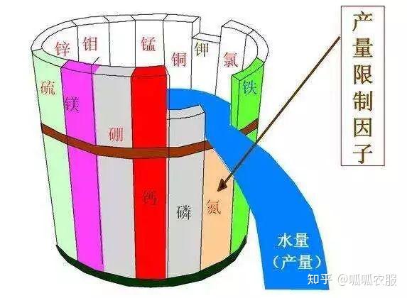钾是微量元素吗