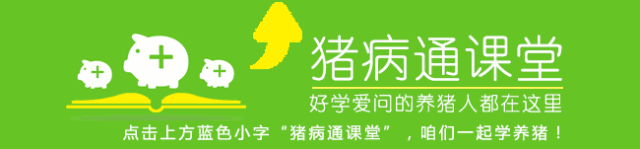 小猪需要注射补硒吗