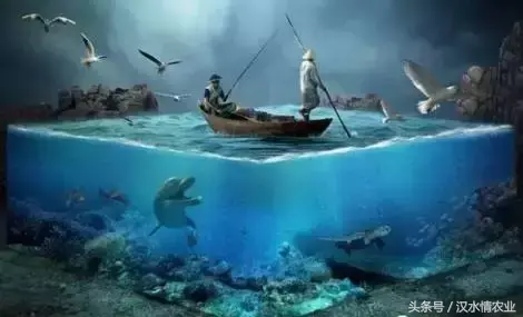 英国补硒元素是什么