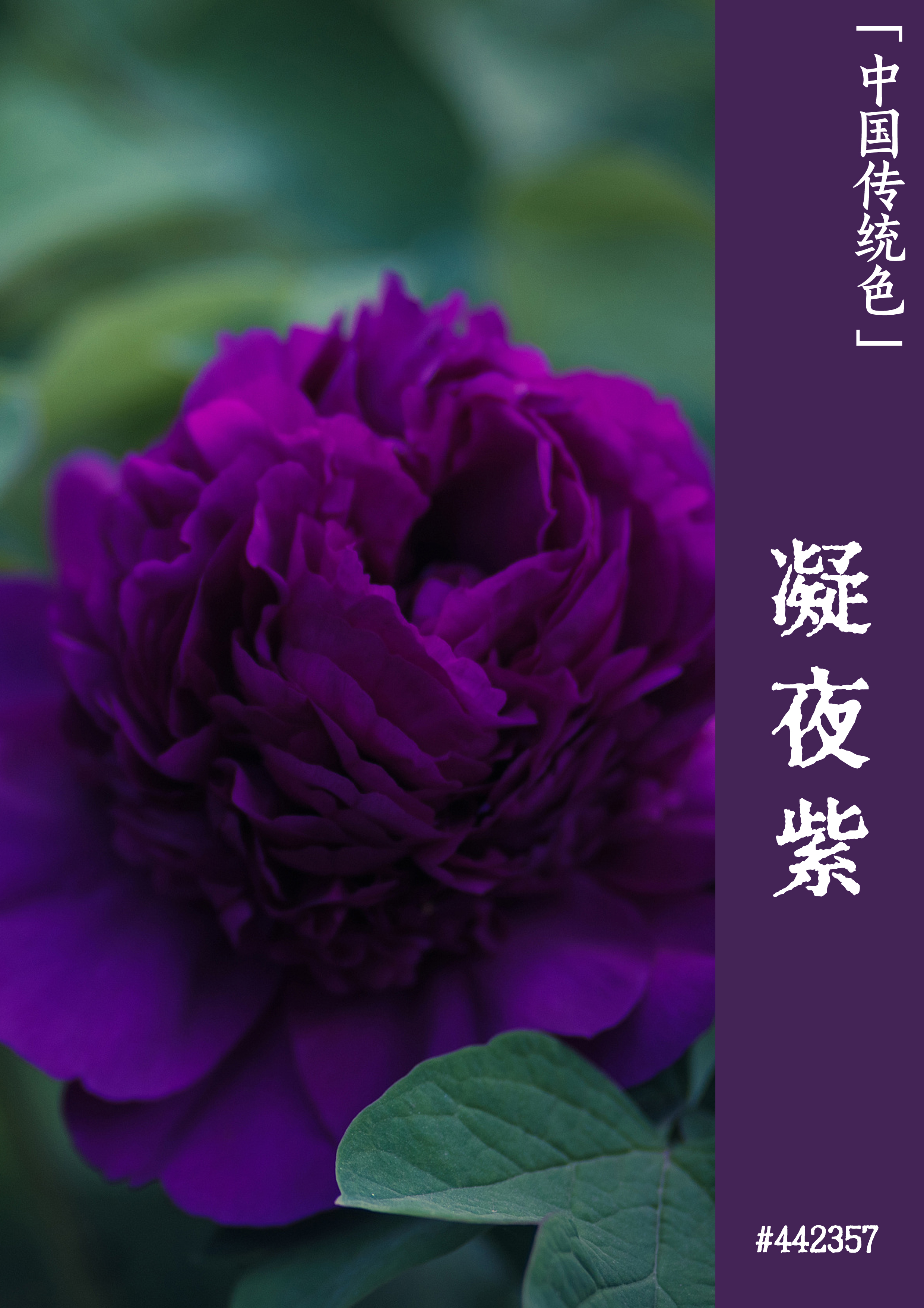 慢性乙肝补硒有效吗