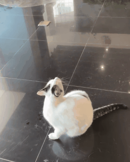 缺乏微量元素怎么补