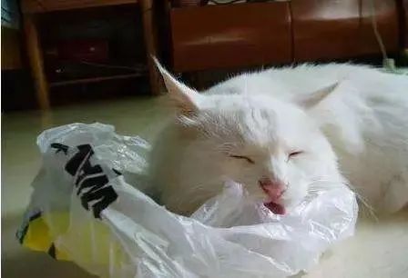 缺乏微量元素怎么补