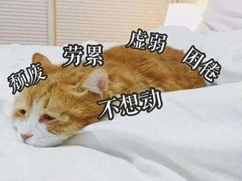 缺乏微量元素怎么补