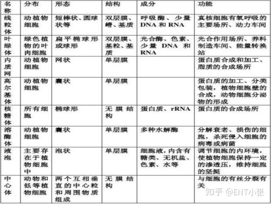 微量元素包括哪些