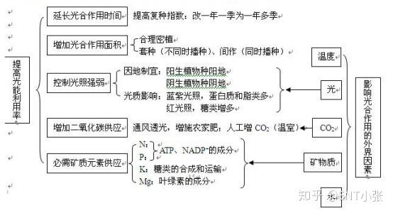 微量元素包括哪些