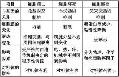 微量元素包括哪些