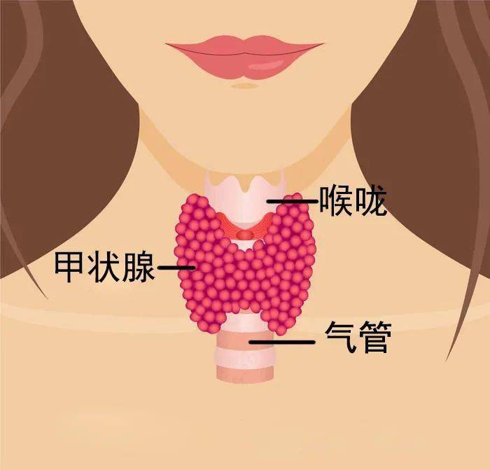 人体微量元素
