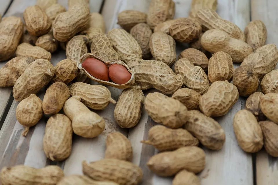 微量元素食物