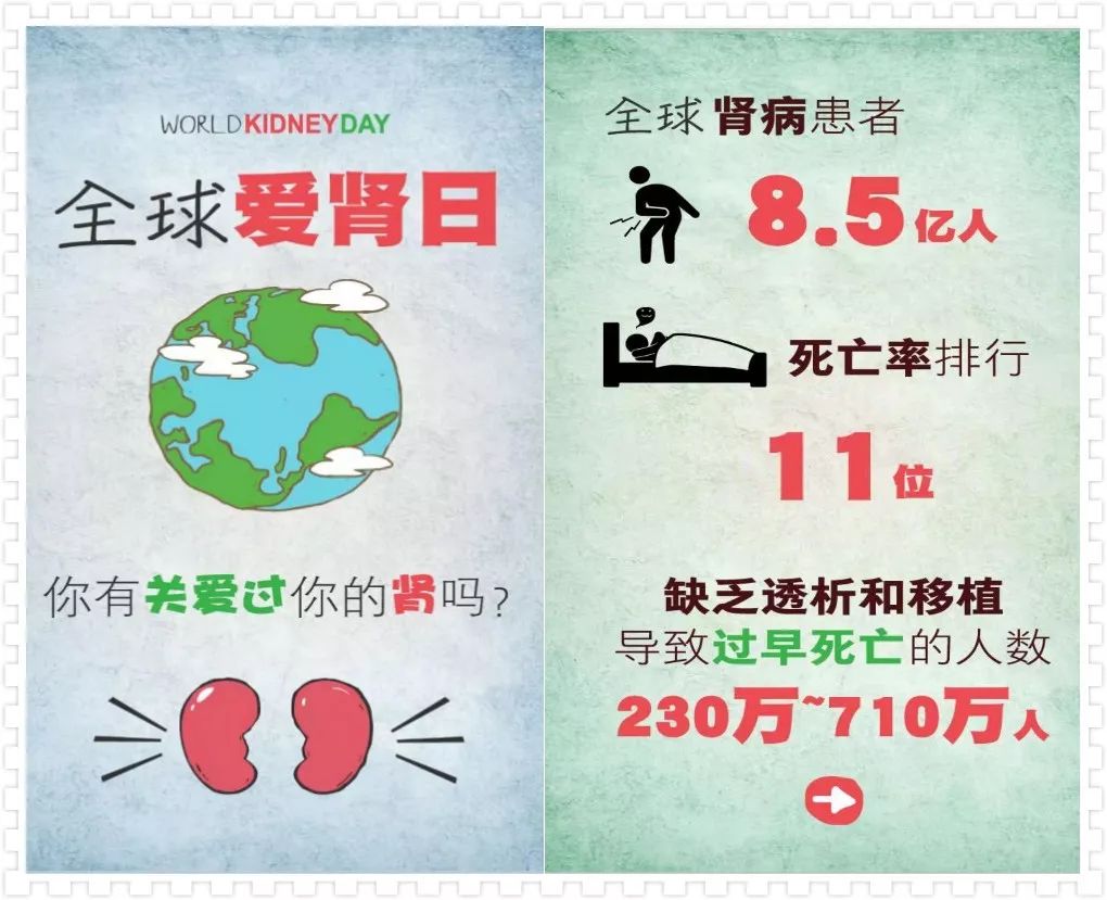 肾脏病人可以补硒吗