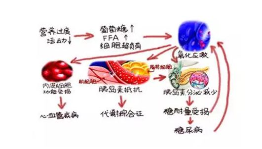 糖尿病需要补硒多久