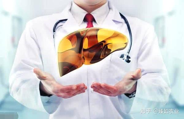 补硒会导致肝硬化吗
