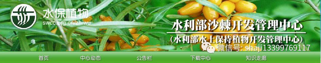 血小板高可以补硒吗