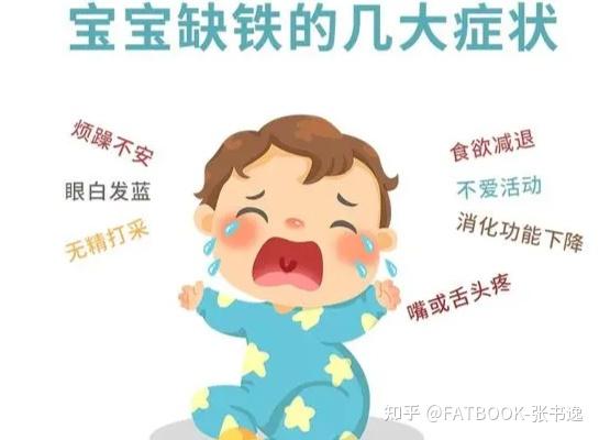 补铁食物