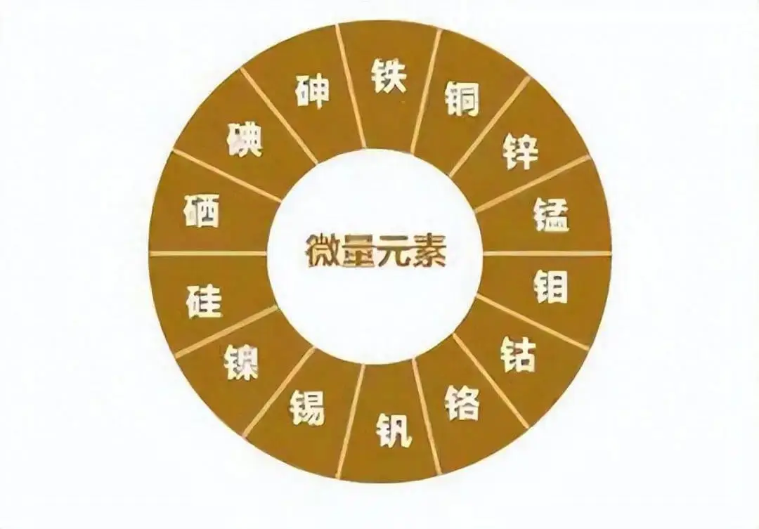 为什么男性要补硒呢