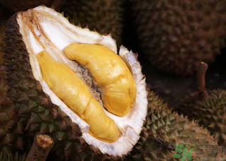 榴莲一次吃多少合适？榴莲一天最多吃多少？