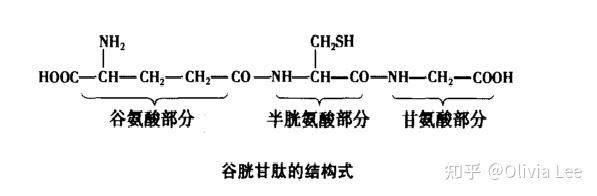 桥本甲状腺炎补硒吗