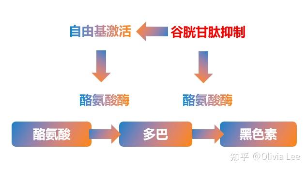 桥本甲状腺炎补硒吗