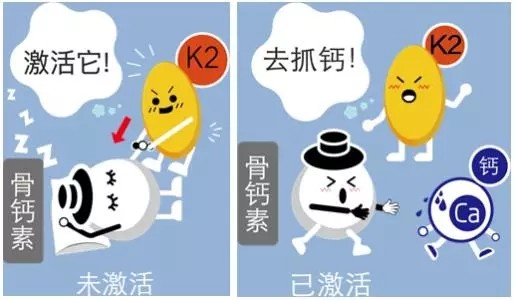 吃什么补钙效果最好