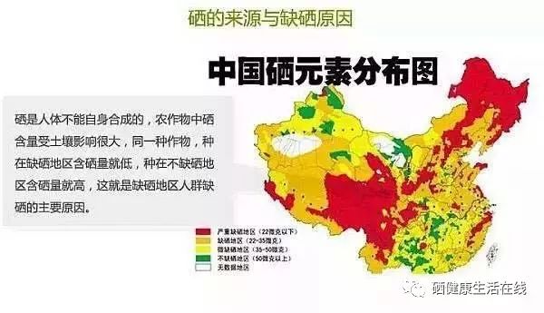 人体缺锌缺硒怎么补