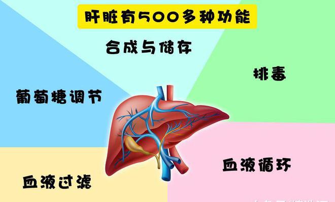 排骨炖菠菜能补硒吗