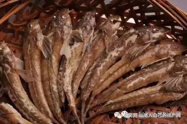 平时补点锌硒的坏处