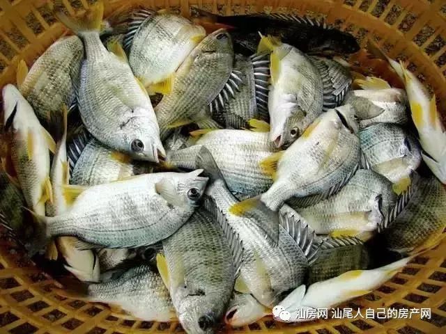 平时补点锌硒的坏处